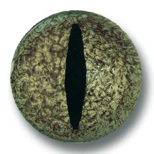 状义眼,这款"橄榄色细长眼"的黑色长条形瞳孔镶嵌于橄榄绿色的眼球